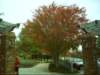dsci0082_small.jpg