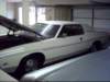 dsci0151_small.jpg