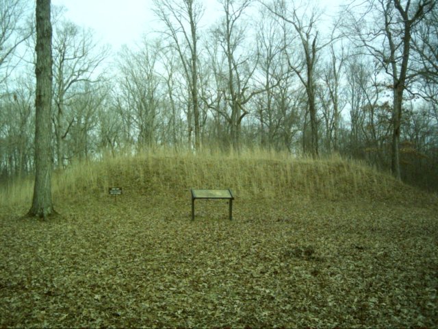 dsci0054.jpg