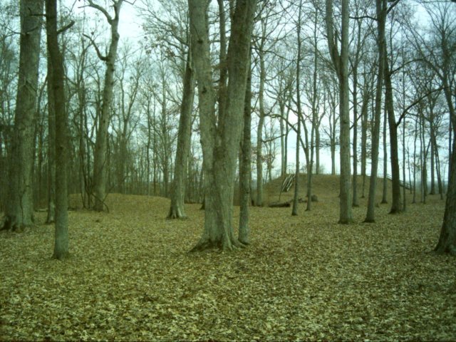 dsci0056.jpg