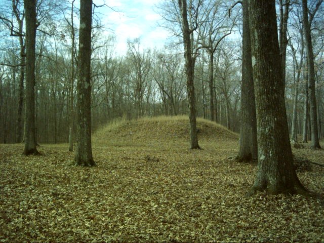 dsci0060.jpg