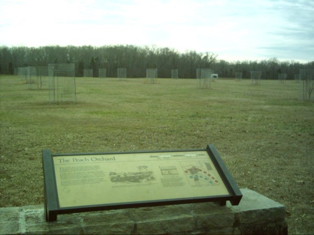 dsci0068.jpg