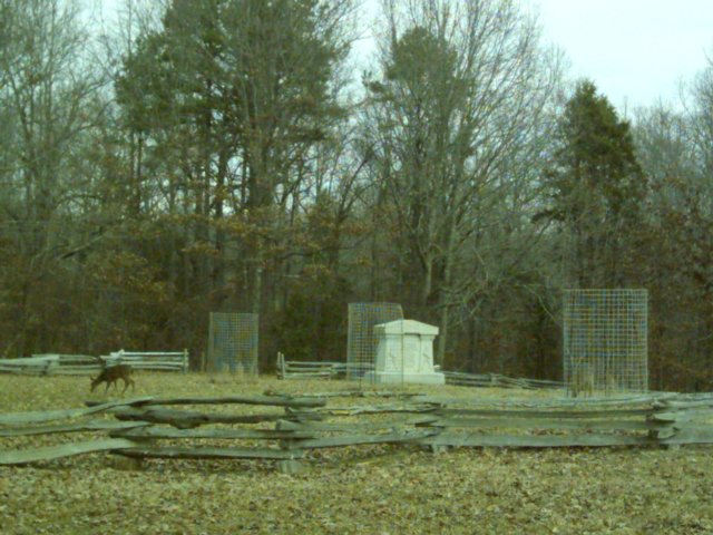 dsci0075.jpg