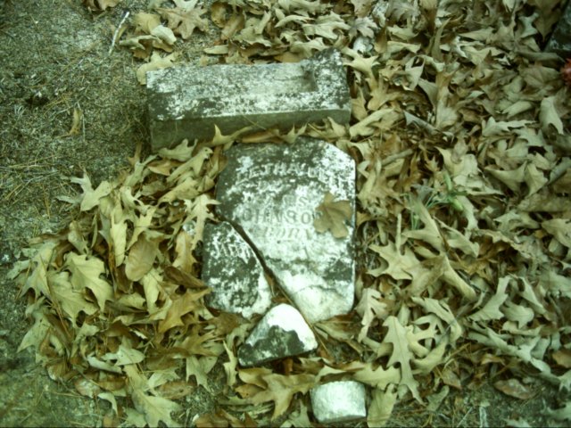 dsci0087.jpg