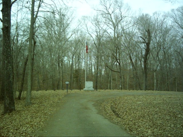 dsci0095.jpg
