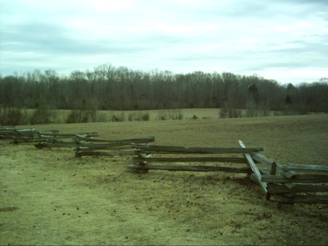 dsci0100.jpg