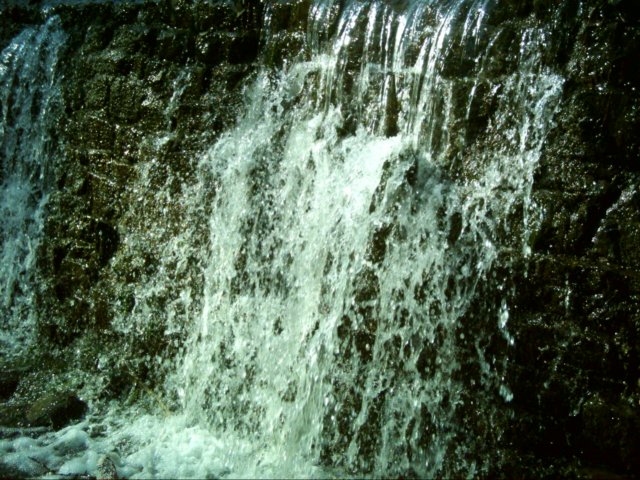 dsci0099.jpg