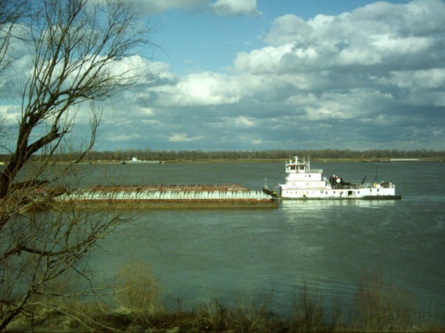 dsci0077.jpg