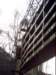 dsci0185_small.jpg