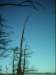 dsci0175_small.jpg