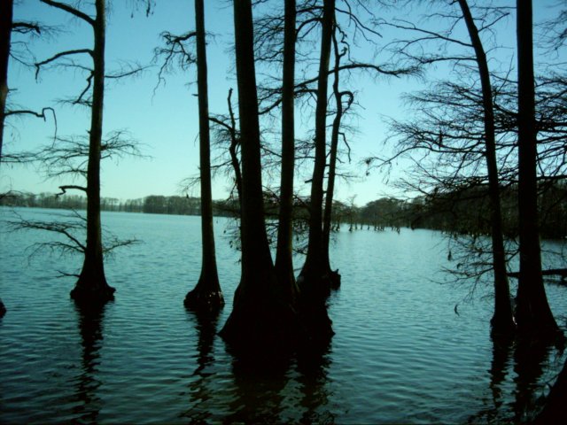 dsci0177.jpg
