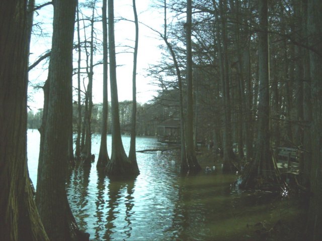 dsci0178edit.jpg