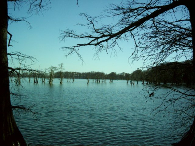 dsci0190.jpg