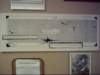 dsci0202_small.jpg