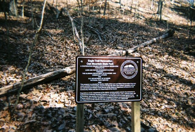 fl000018_2.jpg