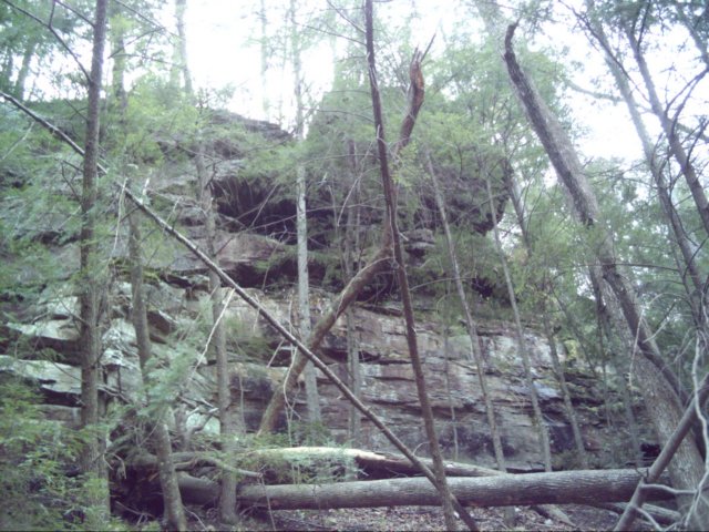 dsci0009.jpg