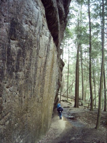 dsci0019.jpg