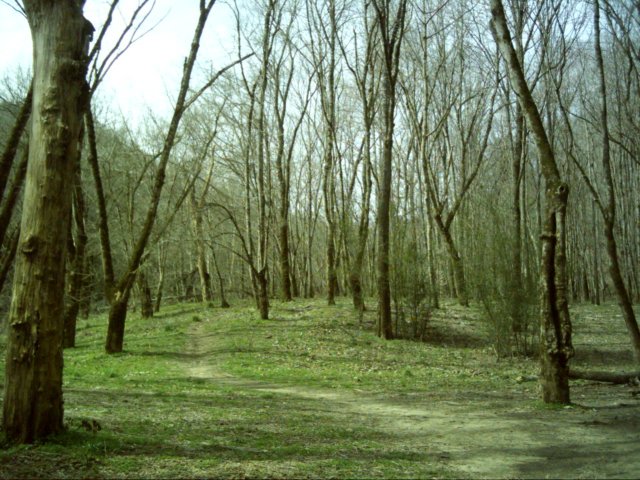 dsci0028.jpg