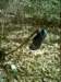 dsci0047_small.jpg
