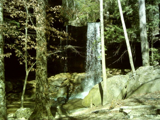 dsci0052.jpg