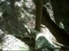 dsci0072_small.jpg
