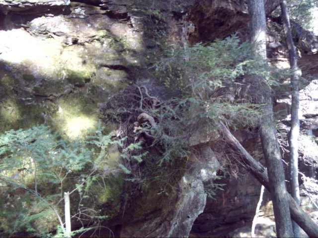 dsci0100.jpg