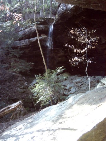 dsci0116.jpg