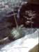 dsci0116_small.jpg