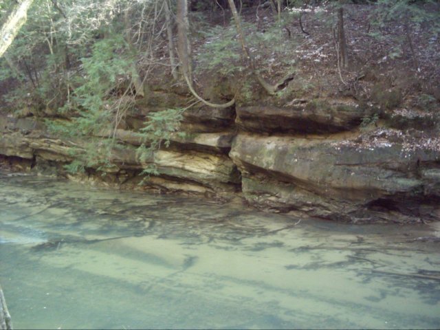 dsci0120.jpg