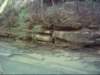 dsci0120_small.jpg