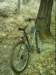 dsci0003_small.jpg