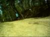 dsci0028_small.jpg
