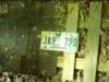 dsci0043_small.jpg