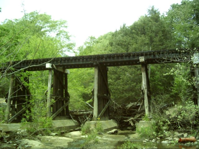 dsci0051.jpg
