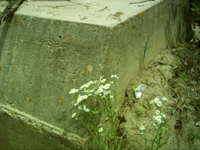 dsci0066.jpg
