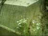 dsci0066_small.jpg