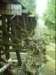 dsci0084_small.jpg