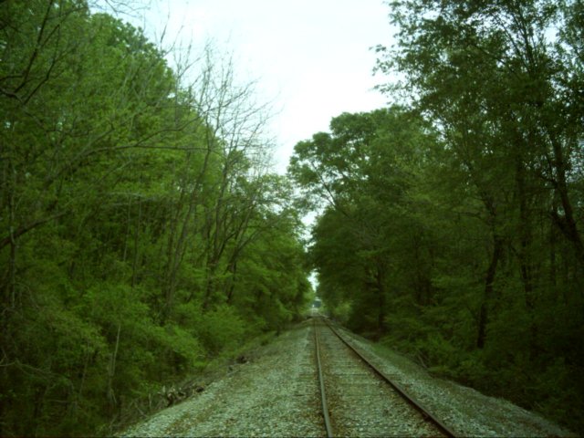 dsci0087.jpg