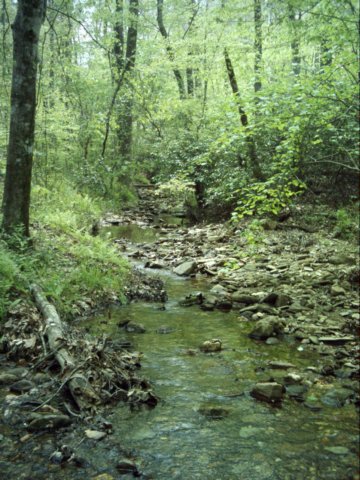 dsci0023.jpg