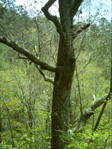 dsci0030.jpg