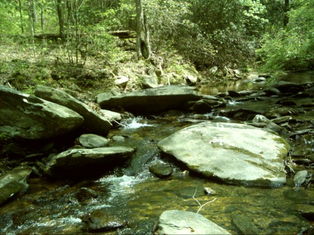 dsci0039.jpg
