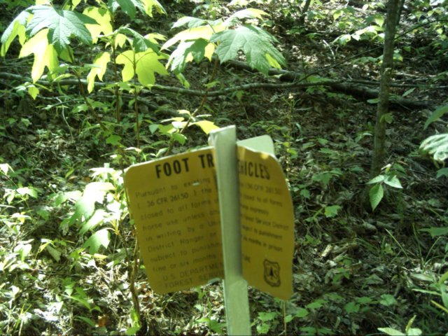 dsci0042.jpg