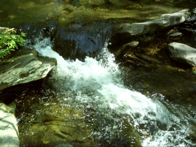 dsci0065.jpg