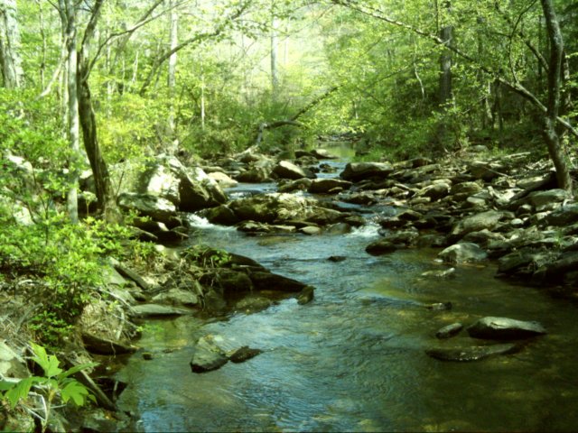 dsci0067.jpg