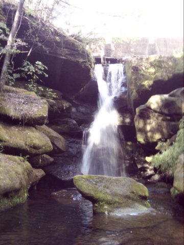 dsci0022.jpg