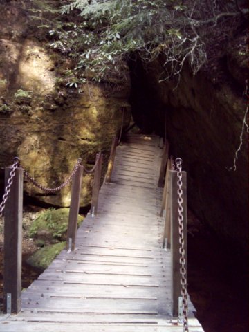 dsci0024.jpg