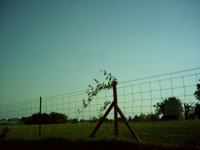 dsci0052.jpg