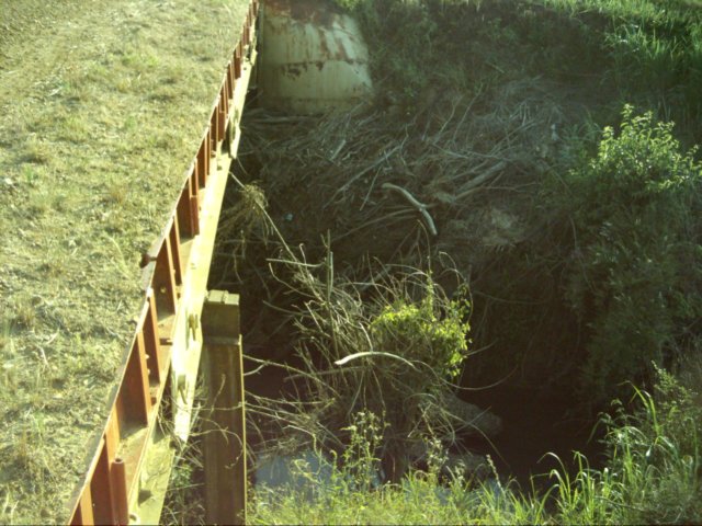 dsci0058.jpg