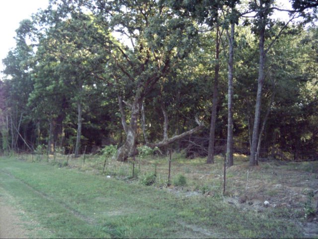 dsci0076.jpg