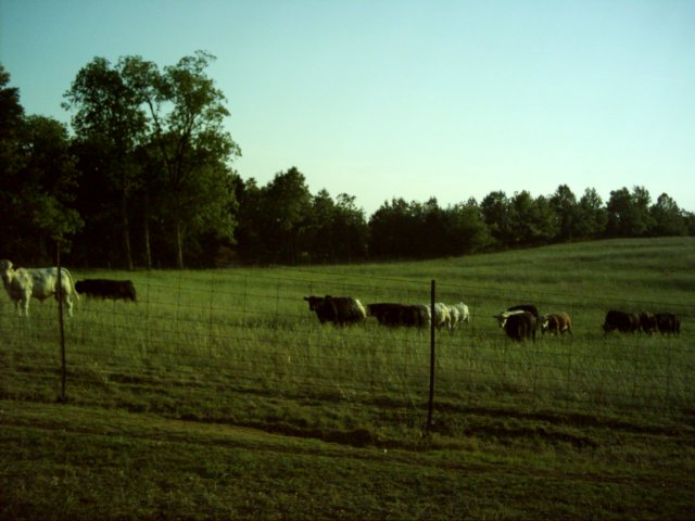dsci0086.jpg